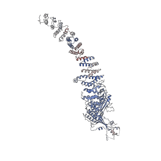 30708_7dl2_A_v1-1
Cryo-EM structure of human TSC complex