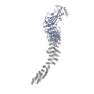 30708_7dl2_B_v1-1
Cryo-EM structure of human TSC complex