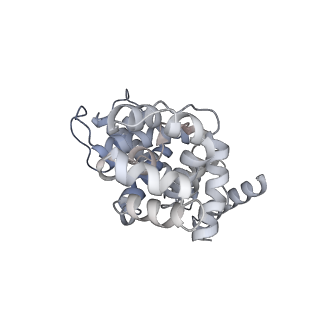 30708_7dl2_E_v1-1
Cryo-EM structure of human TSC complex