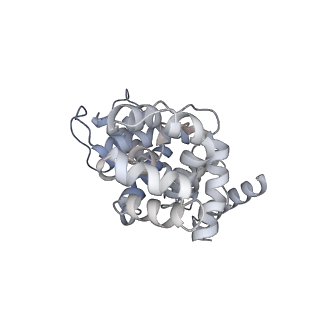 30708_7dl2_E_v1-2
Cryo-EM structure of human TSC complex