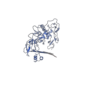 7773_6dlw_B_v1-2
Complement component polyC9