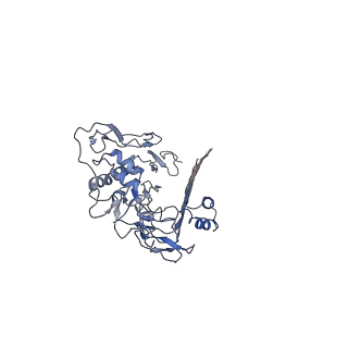 7773_6dlw_S_v1-2
Complement component polyC9