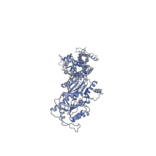 7959_6dlz_B_v1-4
Open state GluA2 in complex with STZ after micelle signal subtraction