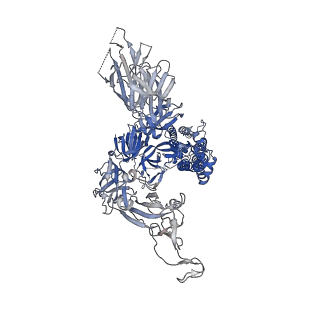 27523_8dm1_C_v1-0
Cryo-EM structure of SARS-CoV-2 Omicron BA.2 spike protein