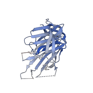 27524_8dm2_A_v1-0
Cryo-EM structure of SARS-CoV-2 Omicron BA.2 spike protein (focused refinement of NTD)