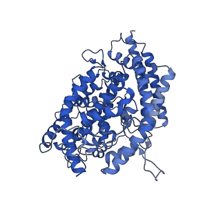 27528_8dm6_D_v1-0
Cryo-EM structure of SARS-CoV-2 Omicron BA.2 spike protein in complex with human ACE2 (focused refinement of RBD and ACE2)