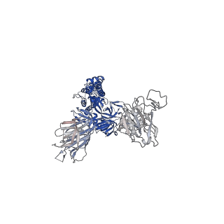 27531_8dm9_A_v1-0
Cryo-EM structure of SARS-CoV-2 Omicron BA.1 spike protein in complex with mouse ACE2