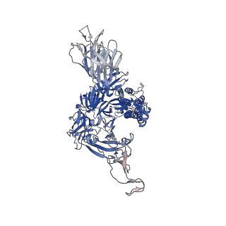 27531_8dm9_C_v1-0
Cryo-EM structure of SARS-CoV-2 Omicron BA.1 spike protein in complex with mouse ACE2