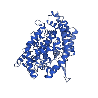 27532_8dma_D_v1-0
Cryo-EM structure of SARS-CoV-2 Omicron BA.1 spike protein in complex with mouse ACE2 (focused refinement of RBD and ACE2)