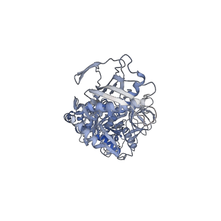27535_8dmf_A_v1-0
Cryo-EM structure of the ribosome-bound Bacteroides thetaiotaomicron EF-G2