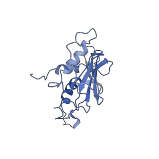 27538_8dmh_A_v1-1
Lymphocytic choriomeningitis virus glycoprotein in complex with neutralizing antibody M28