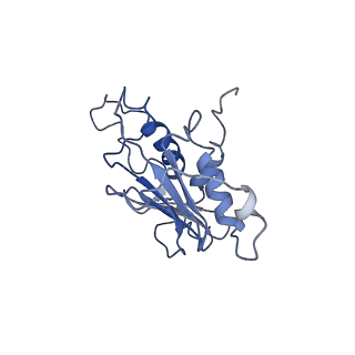 27538_8dmh_B_v1-1
Lymphocytic choriomeningitis virus glycoprotein in complex with neutralizing antibody M28