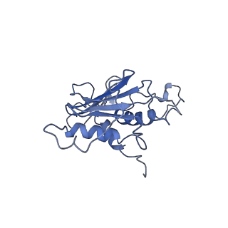 27538_8dmh_C_v1-1
Lymphocytic choriomeningitis virus glycoprotein in complex with neutralizing antibody M28