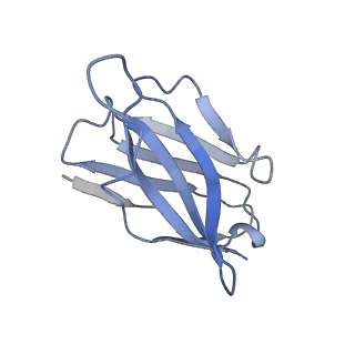 27538_8dmh_F_v1-1
Lymphocytic choriomeningitis virus glycoprotein in complex with neutralizing antibody M28