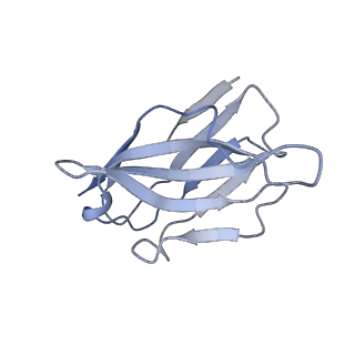 27538_8dmh_H_v1-1
Lymphocytic choriomeningitis virus glycoprotein in complex with neutralizing antibody M28