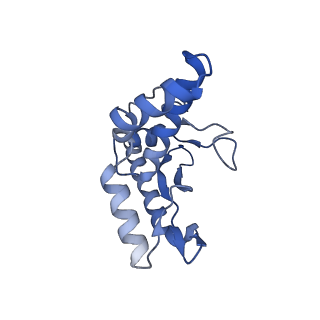 27538_8dmh_a_v1-1
Lymphocytic choriomeningitis virus glycoprotein in complex with neutralizing antibody M28