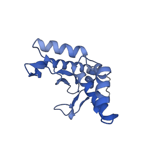 27538_8dmh_b_v1-1
Lymphocytic choriomeningitis virus glycoprotein in complex with neutralizing antibody M28