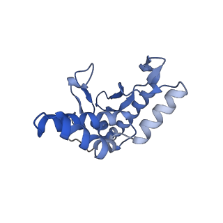 27538_8dmh_c_v1-1
Lymphocytic choriomeningitis virus glycoprotein in complex with neutralizing antibody M28