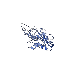 27539_8dmi_A_v1-1
Lymphocytic choriomeningitis virus glycoprotein