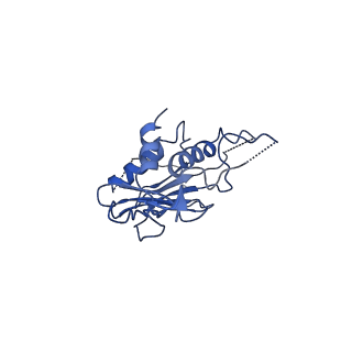 27539_8dmi_C_v1-1
Lymphocytic choriomeningitis virus glycoprotein