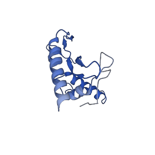 27539_8dmi_a_v1-1
Lymphocytic choriomeningitis virus glycoprotein