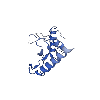27539_8dmi_b_v1-1
Lymphocytic choriomeningitis virus glycoprotein