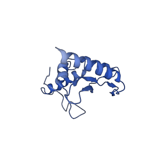 27539_8dmi_c_v1-1
Lymphocytic choriomeningitis virus glycoprotein