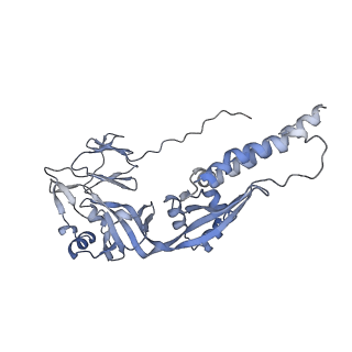27541_8dmj_B_v1-0
Postfusion Nipah virus fusion protein in complex with Fab 1H1