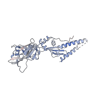 27541_8dmj_C_v1-0
Postfusion Nipah virus fusion protein in complex with Fab 1H1