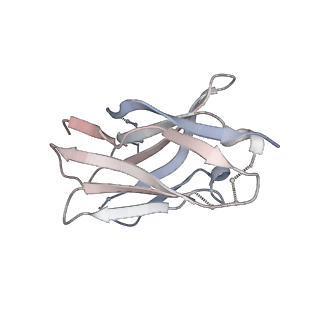 27541_8dmj_D_v1-0
Postfusion Nipah virus fusion protein in complex with Fab 1H1