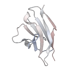 27541_8dmj_E_v1-0
Postfusion Nipah virus fusion protein in complex with Fab 1H1