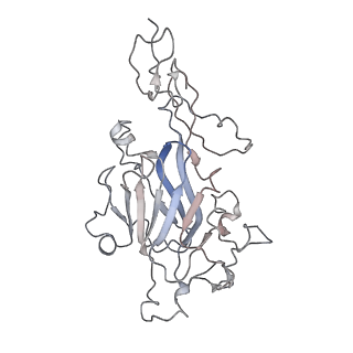 27542_8dmk_B_v1-1
Cryo-EM reveals the molecular basis of laminin polymerization and LN-lamininopathies