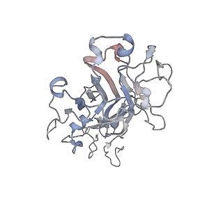 27542_8dmk_G_v1-1
Cryo-EM reveals the molecular basis of laminin polymerization and LN-lamininopathies