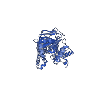 27544_8dmm_A_v1-0
Structure of the vanadate-trapped MsbA bound to KDL