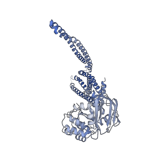 27545_8dmo_A_v1-0
Structure of open, inward-facing MsbA from E. coli