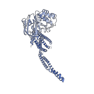 27545_8dmo_B_v1-0
Structure of open, inward-facing MsbA from E. coli