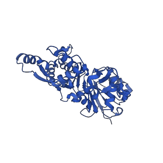 27548_8dmx_A_v1-0
Cryo-EM structure of skeletal muscle alpha-actin