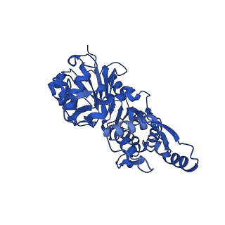 27548_8dmx_B_v1-0
Cryo-EM structure of skeletal muscle alpha-actin