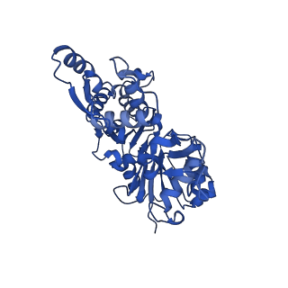 27548_8dmx_C_v1-0
Cryo-EM structure of skeletal muscle alpha-actin