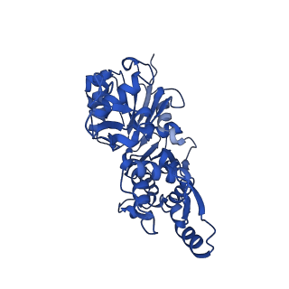 27548_8dmx_D_v1-0
Cryo-EM structure of skeletal muscle alpha-actin