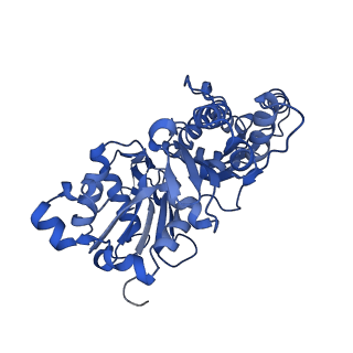 27549_8dmy_A_v1-0
Cryo-EM structure of cardiac muscle alpha-actin