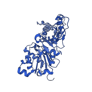 27549_8dmy_B_v1-0
Cryo-EM structure of cardiac muscle alpha-actin