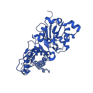 27549_8dmy_C_v1-0
Cryo-EM structure of cardiac muscle alpha-actin