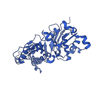 27549_8dmy_D_v1-0
Cryo-EM structure of cardiac muscle alpha-actin