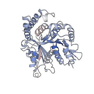 30775_7dmz_A_v1-0
GMPCPP microtubule complex