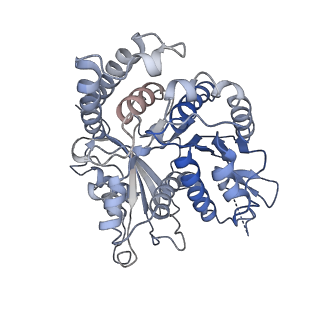 30775_7dmz_B_v1-0
GMPCPP microtubule complex