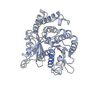 30775_7dmz_C_v1-0
GMPCPP microtubule complex