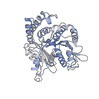 30775_7dmz_E_v1-0
GMPCPP microtubule complex