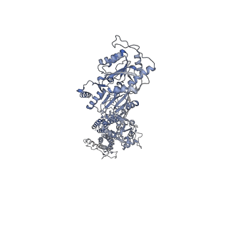7960_6dm0_D_v1-4
Open state GluA2 in complex with STZ and blocked by IEM-1460, after micelle signal subtraction