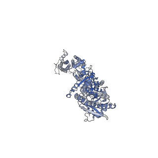 7961_6dm1_A_v1-4
Open state GluA2 in complex with STZ and blocked by NASPM, after micelle signal subtraction